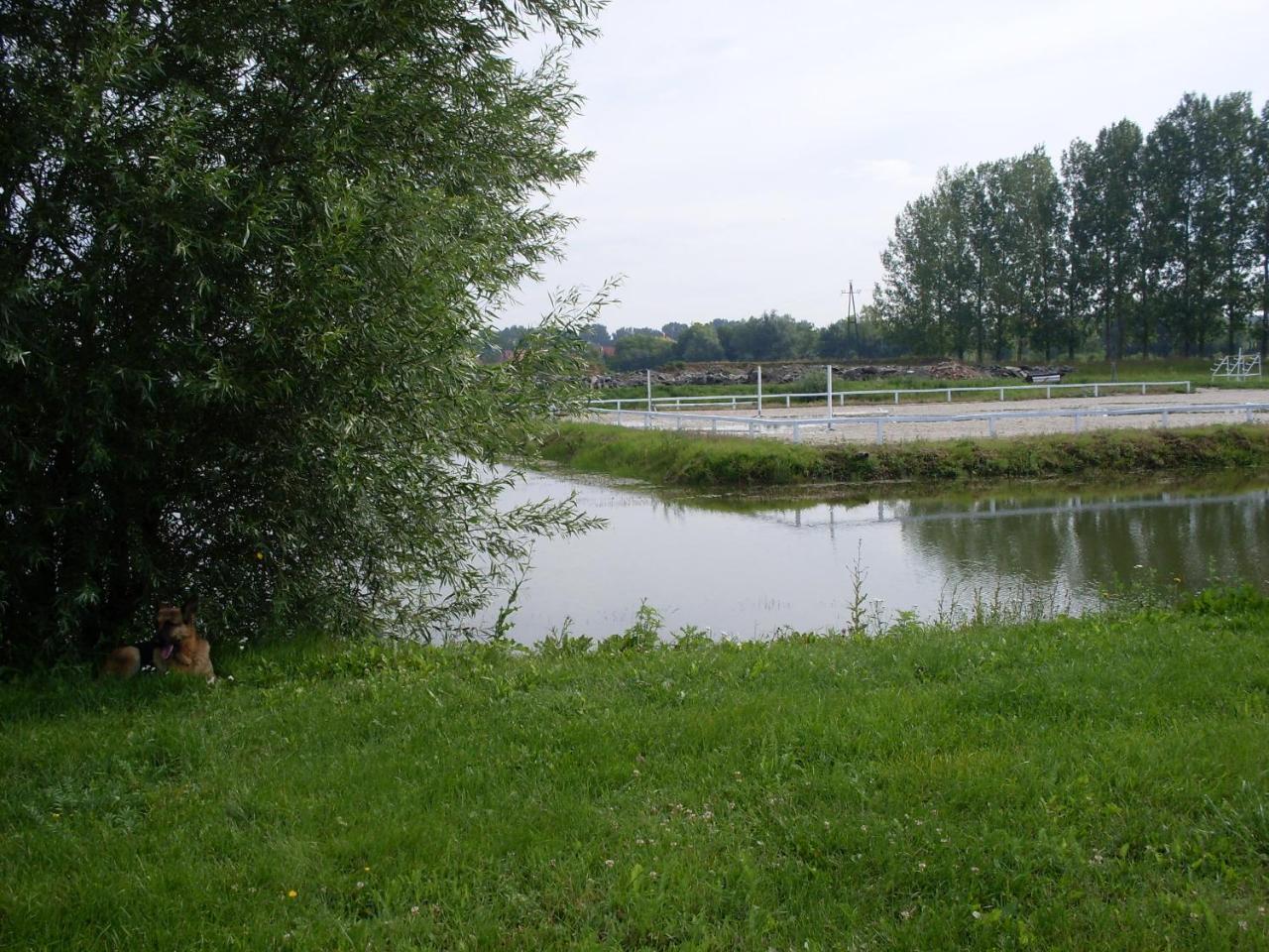 Nagybajcsi Lovaspark és Otthon vendégház Exterior foto